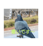 現場で屁をこいてみた（個別スタンプ：24）