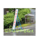 現場で屁をこいてみた（個別スタンプ：34）