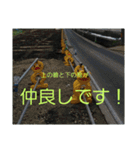 現場で屁をこいてみた（個別スタンプ：37）