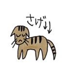 子猫のミッチー（個別スタンプ：9）