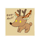 チャディー LINEスタンプ（個別スタンプ：14）