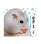 「ハムスター」きなこたん（個別スタンプ：8）