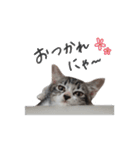 はなちゃん(2)（個別スタンプ：2）