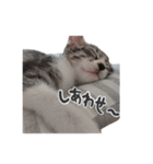 はなちゃん(2)（個別スタンプ：4）