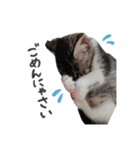 はなちゃん(2)（個別スタンプ：6）