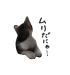 はなちゃん(2)（個別スタンプ：14）