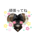 boa♡coco♡mof（個別スタンプ：3）