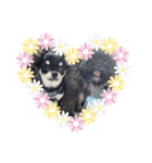 boa♡coco♡mof（個別スタンプ：5）