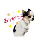 boa♡coco♡mof（個別スタンプ：8）
