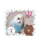 セキセイインコのミィちゃん♡♪2☆（個別スタンプ：15）