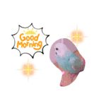 セキセイインコのミィちゃん♡♪2☆（個別スタンプ：21）