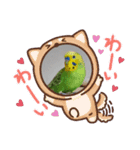 セキセイインコのコロちゃん3（個別スタンプ：6）