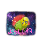 セキセイインコのコロちゃん3（個別スタンプ：7）