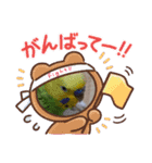 セキセイインコのコロちゃん3（個別スタンプ：9）