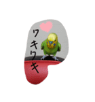 セキセイインコのコロちゃん3（個別スタンプ：10）