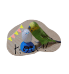 セキセイインコのコロちゃん3（個別スタンプ：12）