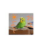 マナコロ（個別スタンプ：3）