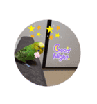 マナコロ（個別スタンプ：4）