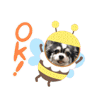 山口家の家族（個別スタンプ：1）