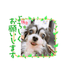 山口家の家族（個別スタンプ：3）