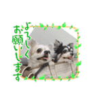 山口家の家族（個別スタンプ：5）