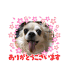 山口家の家族（個別スタンプ：7）