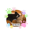 山口家の家族（個別スタンプ：15）