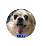 山口家の家族（個別スタンプ：18）