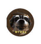 山口家の家族（個別スタンプ：26）