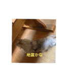 山口家の家族（個別スタンプ：27）