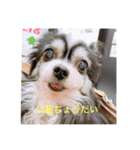 山口家の家族（個別スタンプ：31）