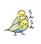 セキセイインコのりんちゃん3（個別スタンプ：4）