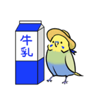 セキセイインコのりんちゃん3（個別スタンプ：22）