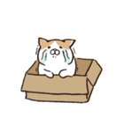 気まぐれ猫と飼い主（個別スタンプ：7）