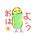 ほぼ、毎日使える、手書きインコスタンプ（個別スタンプ：1）