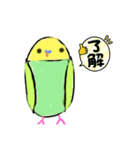 ほぼ、毎日使える、手書きインコスタンプ（個別スタンプ：3）