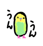 ほぼ、毎日使える、手書きインコスタンプ（個別スタンプ：6）
