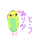 ほぼ、毎日使える、手書きインコスタンプ（個別スタンプ：7）
