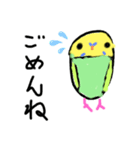 ほぼ、毎日使える、手書きインコスタンプ（個別スタンプ：10）