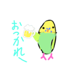 ほぼ、毎日使える、手書きインコスタンプ（個別スタンプ：12）
