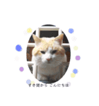 とりあえず、そうちゃん（個別スタンプ：4）
