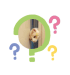 とりあえず、そうちゃん（個別スタンプ：11）