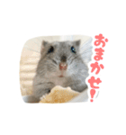 はむずだよ2（個別スタンプ：1）