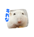はむずだよ2（個別スタンプ：2）