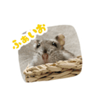 はむずだよ2（個別スタンプ：4）