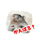 はむずだよ2（個別スタンプ：5）
