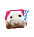 はむずだよ2（個別スタンプ：6）