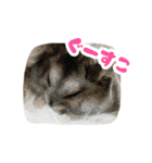 はむずだよ2（個別スタンプ：7）