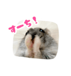 はむずだよ2（個別スタンプ：8）