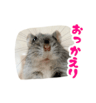 はむずだよ2（個別スタンプ：12）